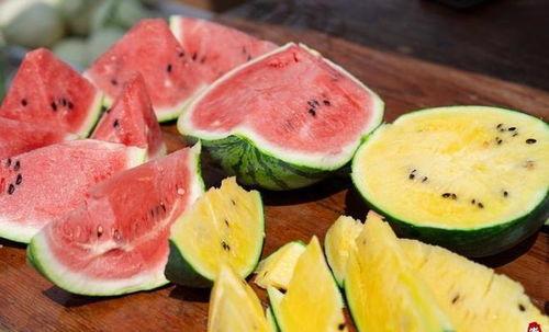 西瓜视频吃瓜者,吃瓜者的狂欢盛宴