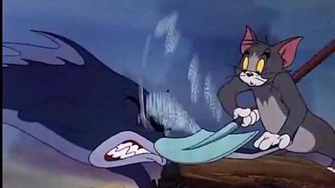 猫咪吃瓜视频完整版,萌宠版“瓜界风云”全程回顾