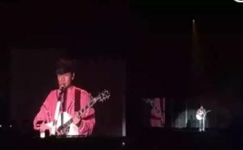 吃瓜小熊演唱会视频,欢乐视听盛宴，燃情夏日之夜