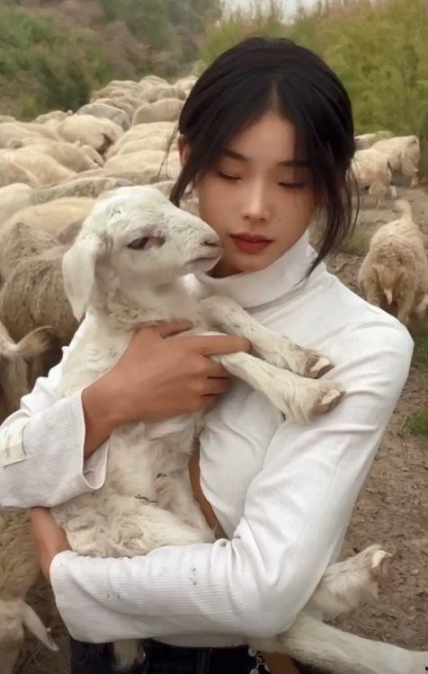 惠然视频吃瓜,揭秘娱乐圈幕后故事