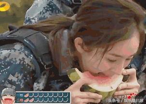 双鱼吃瓜群众视频