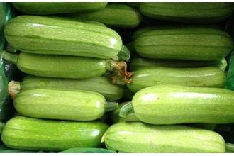 番瓜网吃瓜视频免费观看,番瓜网吃瓜视频，带你轻松追剧不花一分钱！