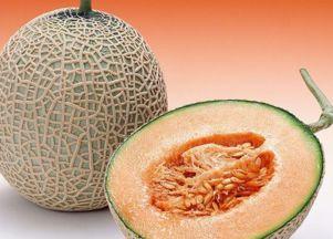 穷哥们吃哈密瓜视频播放,视频播放背后的温馨故事